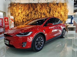 MODEL X 100D长续航版 