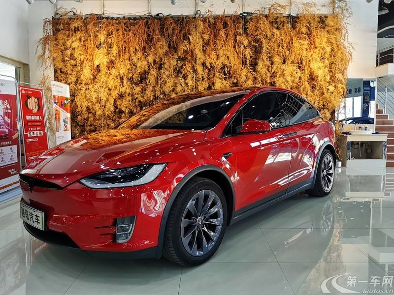 特斯拉MODEL X [进口] 2017款 自动 100D长续航版 纯电动 