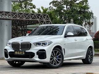 宝马X5 xDrive30Li 2.0T 自动 尊享型M运动套装 