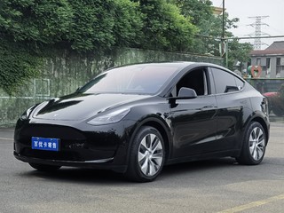 特斯拉MODEL Y 0.0T 自动 后驱版 