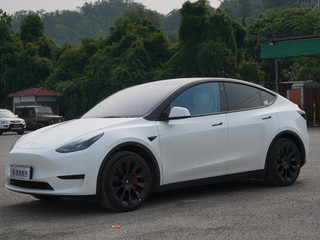 特斯拉MODEL Y 0.0T 自动 后驱版 