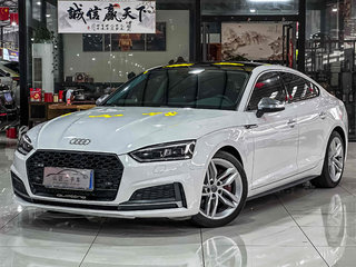 奥迪A5掀背 45TFSI 2.0T 自动 运动型 