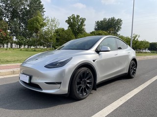 特斯拉MODEL Y 0.0T 自动 标准续航版 