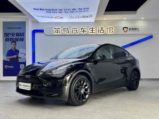 特斯拉MODEL Y 0.0T 自动 后驱版 