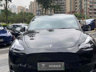 特斯拉MODEL Y 0.0T 自动 标准续航版 