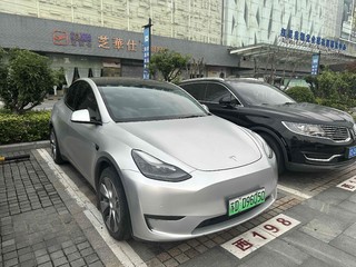 特斯拉MODEL Y 0.0T 自动 标准续航版 