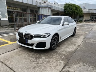 宝马5系 530Li 2.0T 自动 尊享型M运动套装 