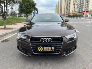 奥迪A5敞篷 45TFSI 2.0T 自动 舒适型 