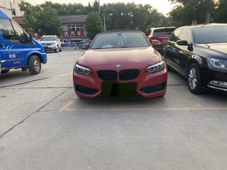 宝马2系敞篷 225i 2.0T 自动 运动设计套装 