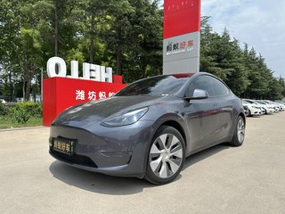 特斯拉MODEL Y 0.0T 