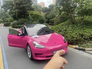 MODEL 3 标准续航升级版 