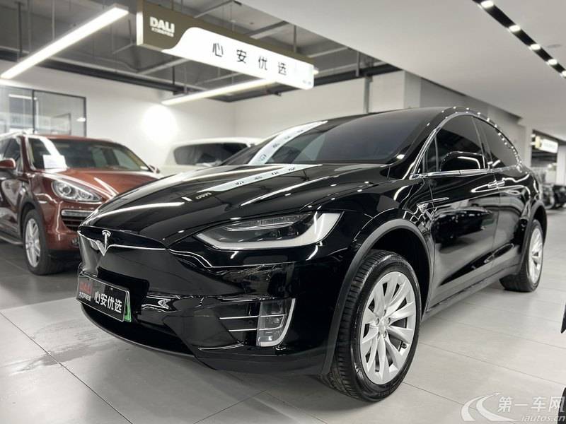 特斯拉MODEL X [进口] 2017款 自动 100D长续航版 纯电动 