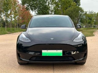 特斯拉MODEL Y 0.0T 自动 后驱版 