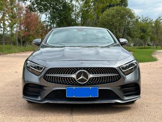 奔驰CLS级 CLS300 2.0T 自动 动感型 