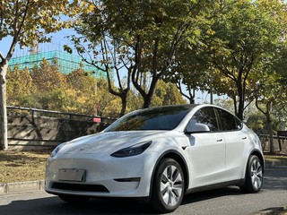 特斯拉MODEL Y 0.0T 自动 长续航版四驱 