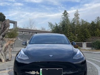 特斯拉MODEL Y 0.0T 