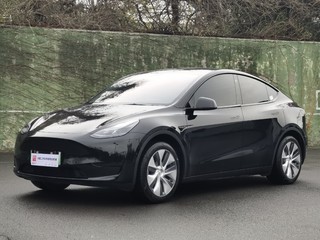 特斯拉MODEL Y 0.0T 自动 后驱版 