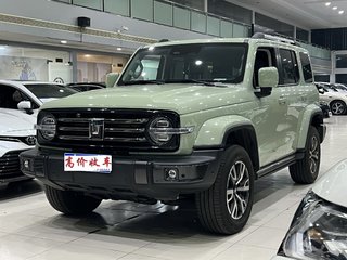 坦克坦克300 城市版 2.0T 自动 很有型 