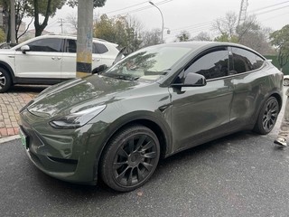 特斯拉MODEL Y 0.0T 自动 后驱版 