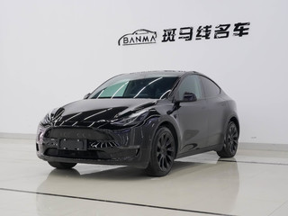 特斯拉MODEL Y 0.0T 自动 长续航版 