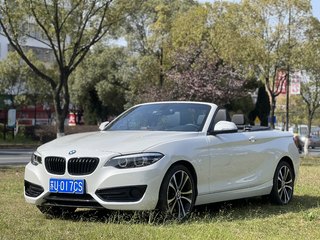 宝马2系敞篷 225i 2.0T 自动 运动设计套装 