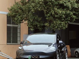 特斯拉MODEL Y 0.0T 自动 长续航版 