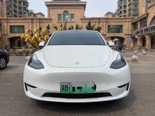 特斯拉MODEL Y 0.0T 