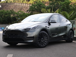 特斯拉MODEL Y 0.0T 自动 后驱版 