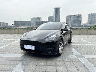 特斯拉MODEL Y 0.0T 