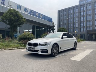 宝马5系 530Li 2.0T 自动 xDrive-M运动套装 