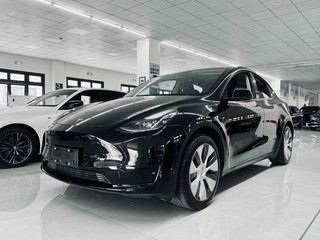 特斯拉MODEL Y 0.0T 自动 后驱版 