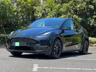 特斯拉MODEL Y 0.0T 自动 标准续航版 