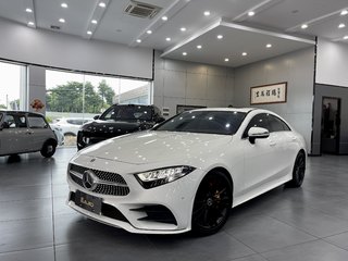 奔驰CLS级 CLS300 2.0T 自动 动感型 