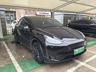 特斯拉MODEL Y 0.0T 自动 后驱版 