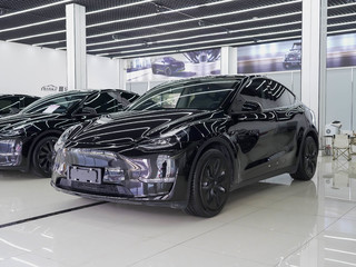 特斯拉MODEL Y 0.0T 