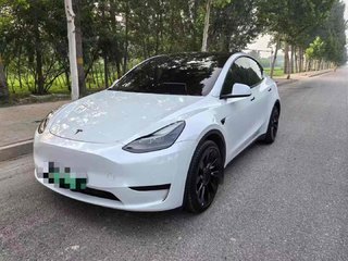 特斯拉MODEL Y 0.0T 自动 后驱版 