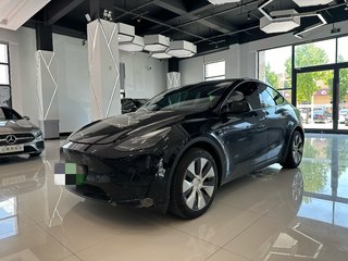 特斯拉MODEL Y 0.0T 自动 后驱版 