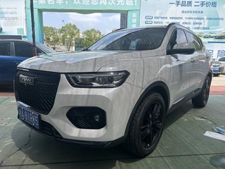 哈弗H6 2.0T 铂金冠军版 