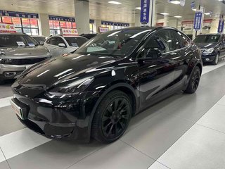 特斯拉MODEL Y 0.0T 