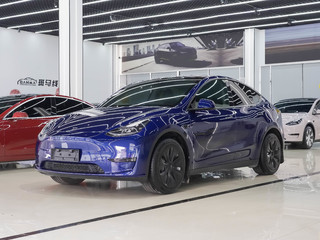 特斯拉MODEL Y 0.0T 