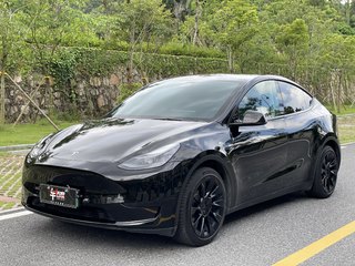 特斯拉MODEL Y 0.0T 自动 后驱版 