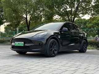 特斯拉MODEL Y 0.0T 自动 后驱版 