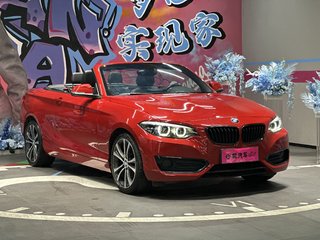 宝马2系敞篷 225i 2.0T 自动 运动设计套装 