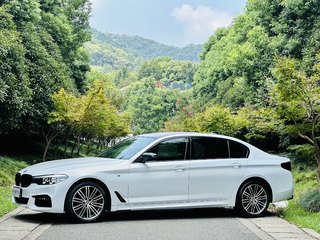 宝马5系 530Li 2.0T 自动 领先型M运动套装 