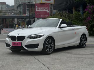 宝马2系敞篷 225i 2.0T 自动 运动设计套装 