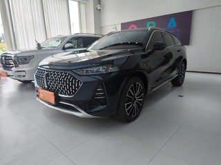 魏牌摩卡 2.0T 自动 特醇版 