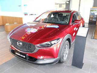 马自达CX-30 2.0L 