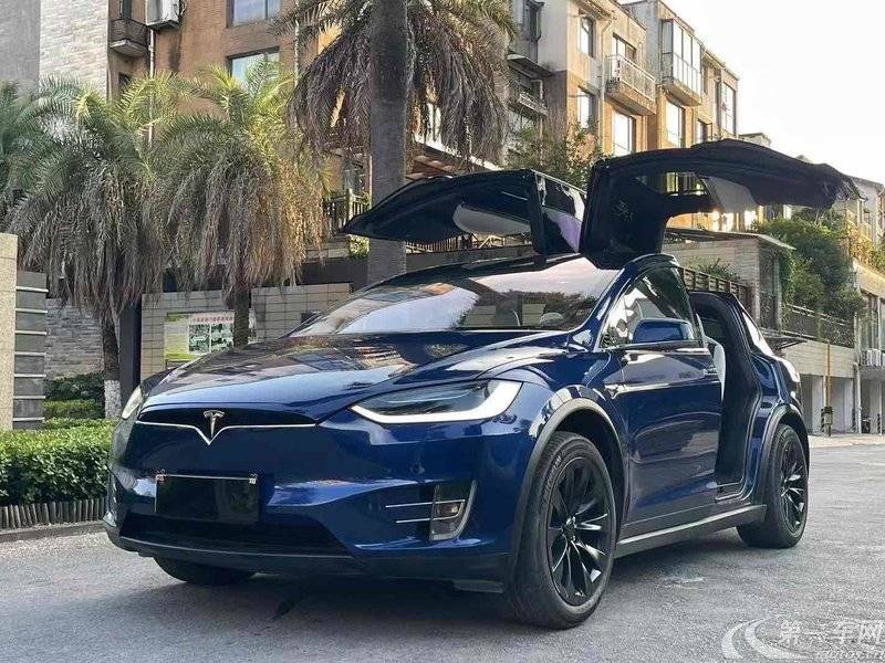 特斯拉MODEL X [进口] 2017款 自动 100D长续航版 纯电动 