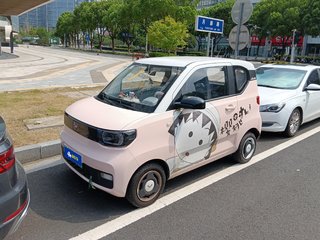 五菱宏光MINI EV 自动 臻享款 