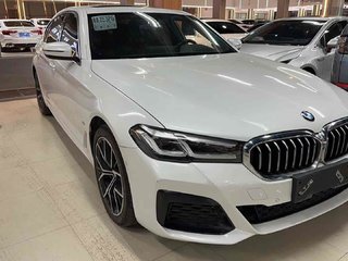 宝马5系 530Li 2.0T 自动 尊享型M运动套装 